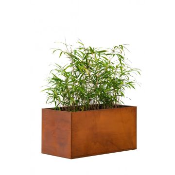 Bloembak Cortenstaal