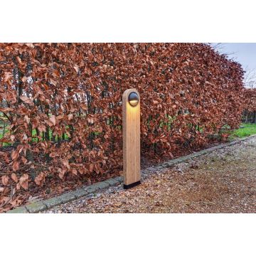 Sus One Bamboo Black 24V																																																								