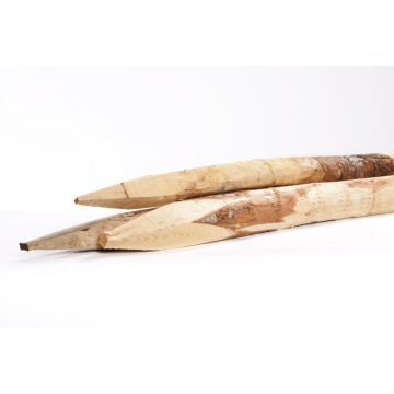 Kastanje paal 300 cm. 8-10 cm.