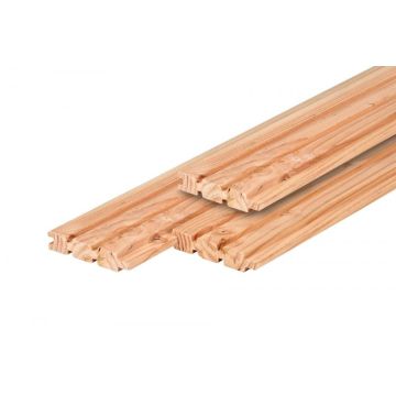 Douglas dubbelzijdig triple profiel 2.8x14.5x224cm