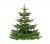 Nordmann Kerstboom A-keuze 100 - 150 cm Gezaagd (zonder kluit)