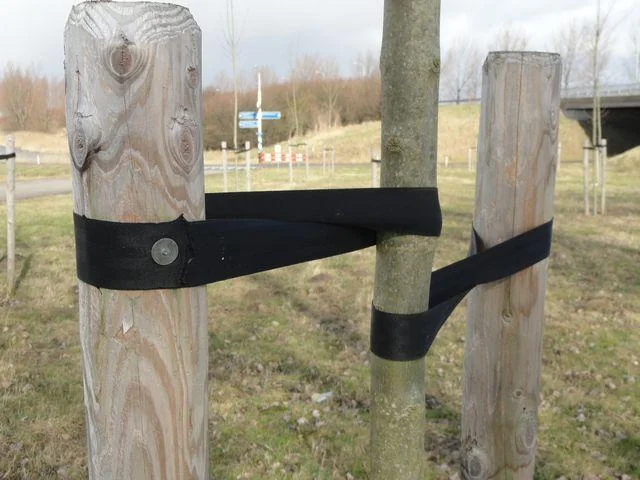 Tree Tape Nylon 5 cm. wide. Per meter.